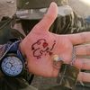 abdo_rz_1