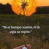 andrea.lg71