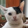 ruby_officials_2
