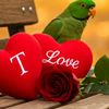 user8113467843531