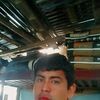 pal.pilozo