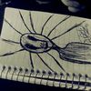 eliam_d.f