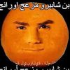 3shapiro
