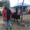 empereurjoumalonje.llc
