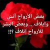 hazem.elbelkasy