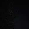 0o_stars4