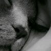 user7800602933066