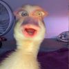 thesecretsinger_blinded