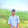 shahin...12