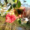 user1976123245275