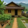 dhima_basyar
