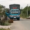 lahagiahau