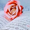 islam8858