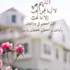 nahed.fahmii