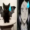 mleszkoi