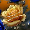 munnaahmad692
