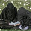 ummabdulrahman145574
