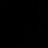 leonpcr1