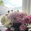 sophxxbrown