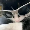 carlstzz_05