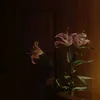 .nogn_hanju