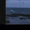 kauanslvxx
