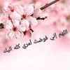 user43814877881