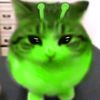 armok49