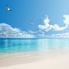 beautifulscenery826