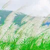 kieumai_67