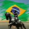 portaldapoliticabrasil