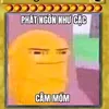 nhincaclolbuoi