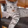 andrea_pt3