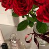 jehane_33