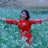 nguyn.khi.hoa