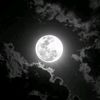 arbyz_63