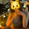 suz_us2