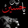 syed.hassan.zaidi1