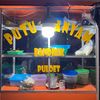 putumayamcabangluengputu