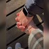 rody_alhijazi