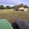 esteban_agris