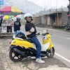fino_kuning