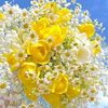 chiki_2888