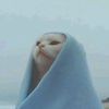 fatmaashraf24_