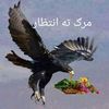 afghantopantopan23