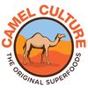 camel.culture