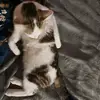 drgyyyyb