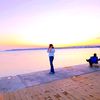 .yonca0