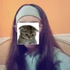 pepiii_version37