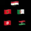MENA